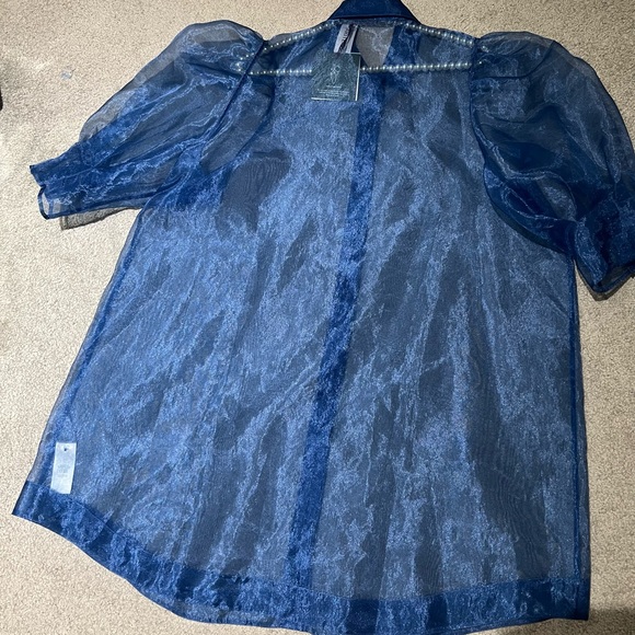 Womens Little Moon sheer blue organza dress from Aritzia - size 10 - NWT - Picture 15 of 16